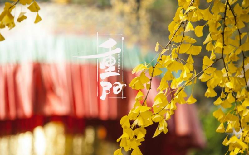 金秋送爽，心暖重陽。祝您重陽愉快，闔家歡樂，福壽安康！